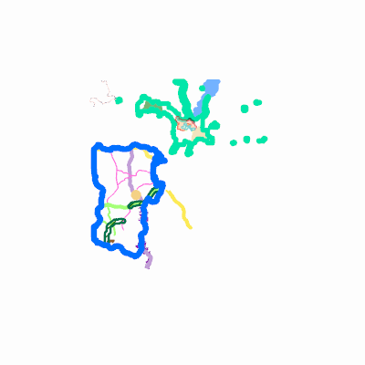 Export Image